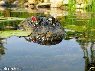 22" Floating Alligator Gator Head Decoy W/red Eyes-for Pond-water-pool-garden